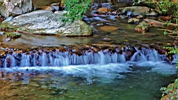 IMG_9007.JPG