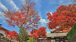 IMG_9085.JPG