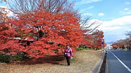 IMG_9287.JPG