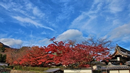 IMG_9295.JPG