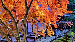 IMG_9340.jpg