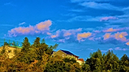 IMG_9371.JPG