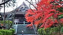 IMG_9380.JPG