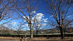 IMG_9453.JPG
