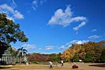 IMG_9456.JPG