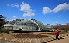 IMG_9459.JPG