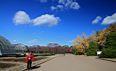 IMG_9460.JPG