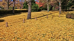 IMG_9462.JPG