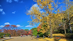 IMG_9464.JPG
