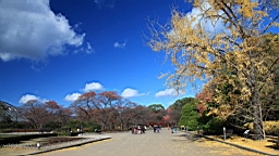 IMG_9466.JPG