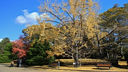 IMG_9472.JPG