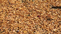 IMG_9473.JPG