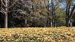 IMG_9474.JPG