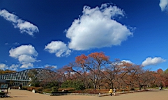 IMG_9475.JPG