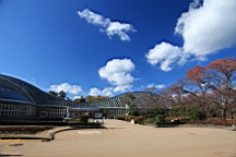 IMG_9476.JPG