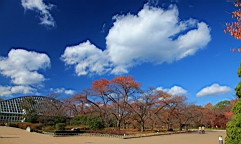 IMG_9479.JPG