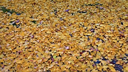 IMG_9580.JPG