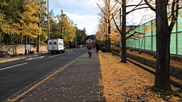 IMG_9581.JPG