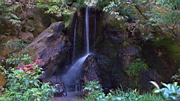 IMG_9639.jpg