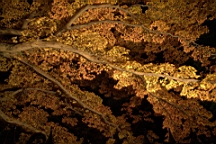 IMG_9714.jpg