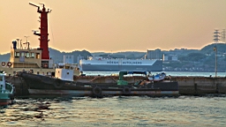 IMG_1930.JPG