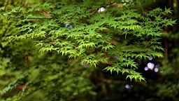 IMG_2003.JPG