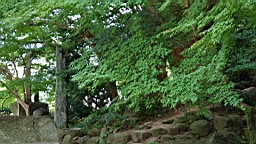 IMG_2004.JPG