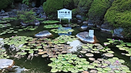 IMG_2011.JPG