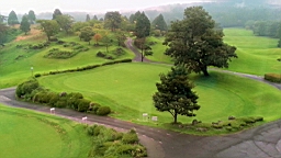20130815_175647.jpg