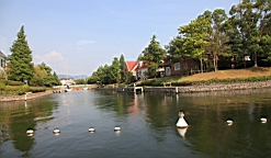 IMG_2372.JPG