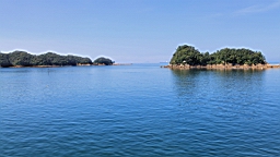 IMG_2440.JPG