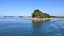 IMG_2443.JPG