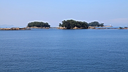 IMG_2448.JPG