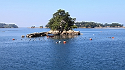IMG_2455.JPG
