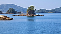 IMG_2456.JPG