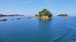 IMG_2459.JPG