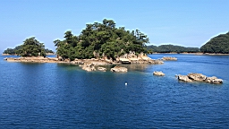 IMG_2462.JPG