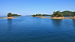 IMG_2466.JPG