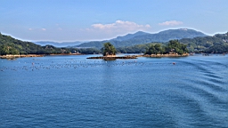 IMG_2471.JPG