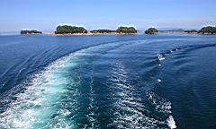 IMG_2475.JPG