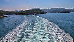 IMG_2495.JPG