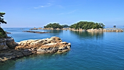 IMG_2503.JPG