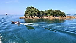 IMG_2530.JPG