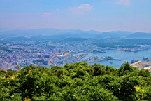 IMG_2550.JPG