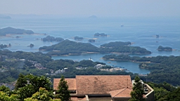 IMG_2556.JPG