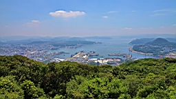 IMG_2559.JPG