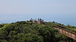 IMG_2565.JPG