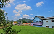 IMG_2567.JPG