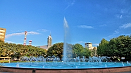 IMG_3839.JPG