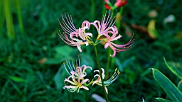 IMG_3852.JPG